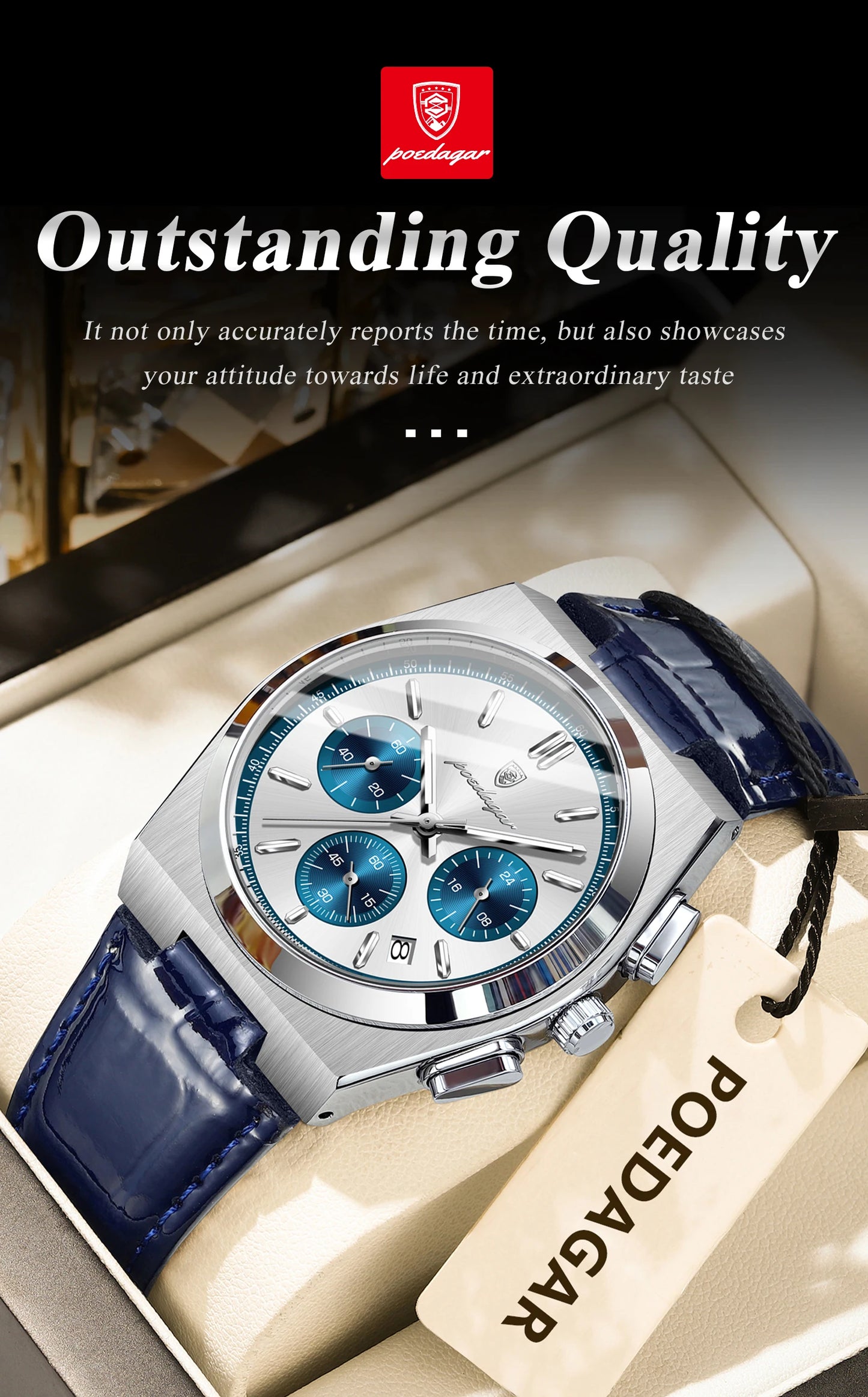 POEDAGAR Luxury Classic Mens Watch